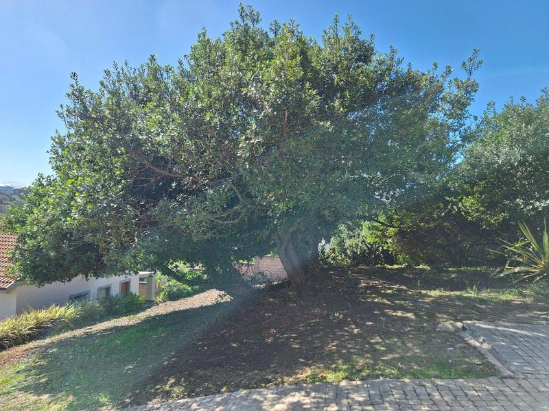 0 Bedroom Property for Sale in Bergsig Western Cape